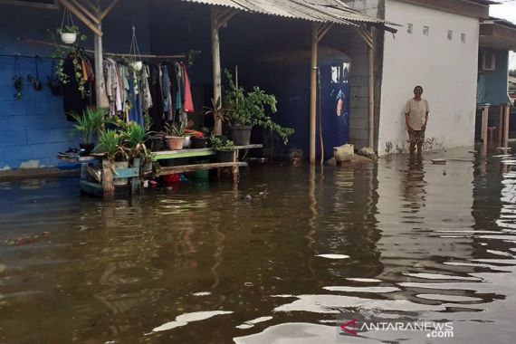 Sejumlah Pemukiman Warga di Tangerang Kembali Diterjang Banjir Rob - JPNN.COM