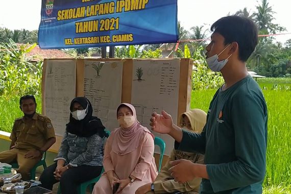 Dampak Sekolah Lapang Terasa, Sektor Pertanian Organik di Ciamis Makin Manis - JPNN.COM
