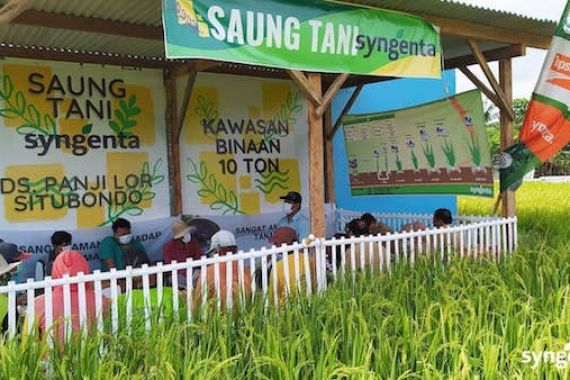 Ini Strategi Syngenta Indonesia Dampingi Petani di Masa Pandemi - JPNN.COM