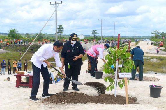 Pulihkan Lingkungan Setelah Banjir Sintang, Presiden Jokowi Tanam Pohon Bersama Masyarakat - JPNN.COM