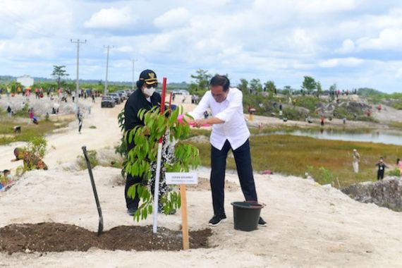 Lihat, Jokowi dan Menteri Siti Merehabilitasi Lahan Bekas Tambang - JPNN.COM