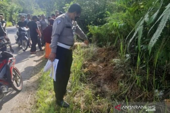 Mobil Toyota Innova Jatuh ke Jurang, Para Penumpang Hilang, Ada Secarik Kertas - JPNN.COM