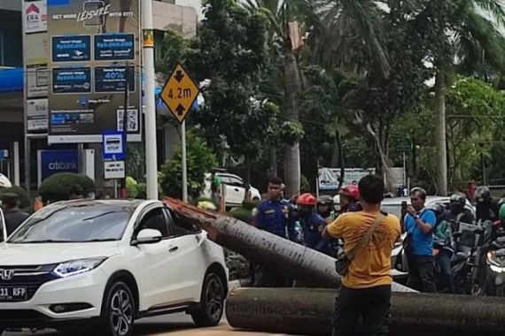 40 Pohon di DKI Tumbang Karena Angin Kencang, Sebegini Jumlah Korban dan Sarana yang Rusak - JPNN.COM