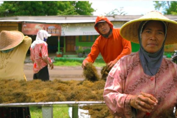 LPEI Resmikan Program Desa Devisa Rumput Laut di Sidoarjo - JPNN.COM