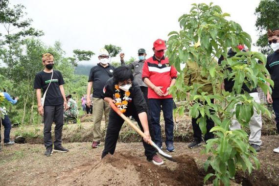 Menteri Siti Nurbaya Pimpin Penanaman Pohon Serentak di 34 Provinsi - JPNN.COM