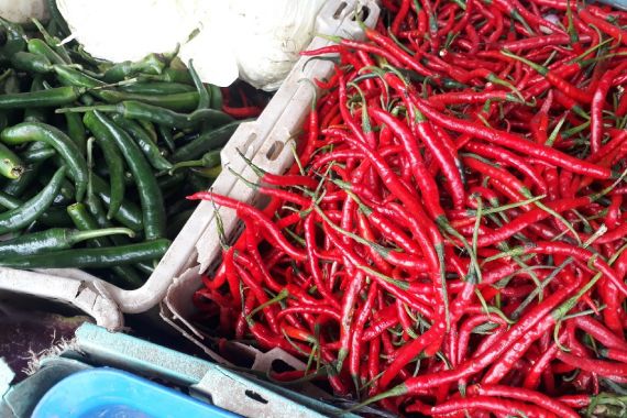 Harga Cabai Rawit Merah Makin Pedas, Simak Informasinya - JPNN.COM