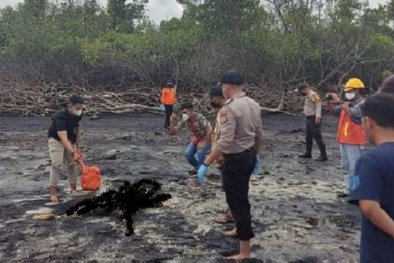 Puluhan Burung Gagak Berkerumun di Bibir Pantai, Amirudin Heran, Ternyata Ada Hal Mengerikan - JPNN.COM