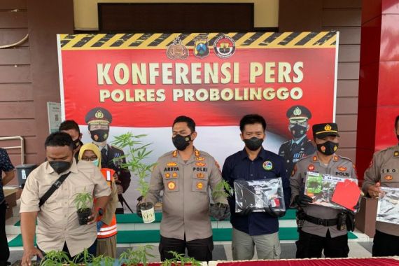 Penanam Ganja di Lereng Gunung Bromo Punya Gudang Penyimpanan Khusus - JPNN.COM