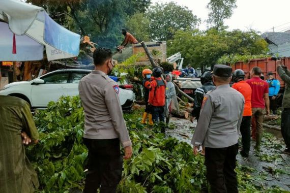 Semarang Dilanda Angin Kencang, 3 Mobil Tertimpa Pohon Tumbang - JPNN.COM