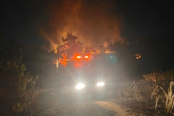 Lahan Seluas 2 Hektare di Kabupaten Bintan Diduga Dibakar - JPNN.COM