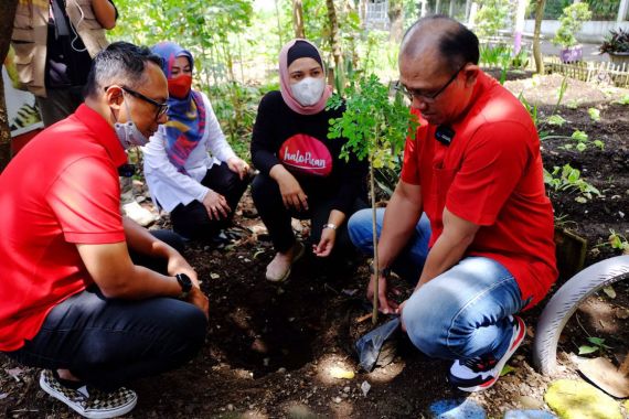 Melawan Stunting, HaloPuan Gencarkan Penanaman Kelor di Desa - JPNN.COM