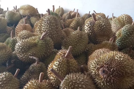3 Manfaat Durian untuk Kesuburan Wanita, Jangan Ragu Mencobanya - JPNN.COM