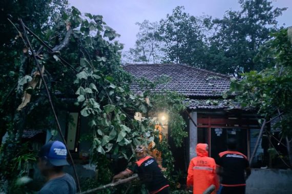 Angin Kencang Akibatkan Rumah Rusak & Pohon Tumbang di Trenggalek - JPNN.COM