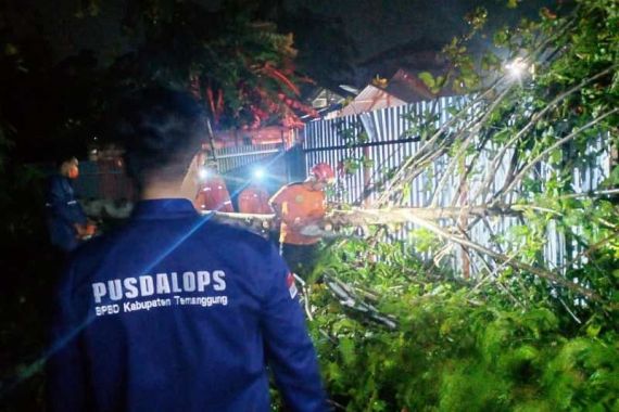 Angin Ribut Disertai Hujan Deras Akibatkan Pohon Tumbang & Beberapa Rumah Rusak - JPNN.COM