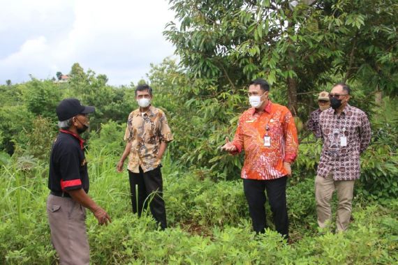 Kemendagri Tinjau Lahan Kritis di Bantul, Petani Keluhkan Ketersediaan Air - JPNN.COM