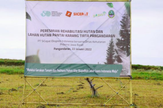 SiCepat Ekspres Tanam 20 Ribu Bibit Pohon Cemara Udang di Pesisir Pantai Pangandaran - JPNN.COM