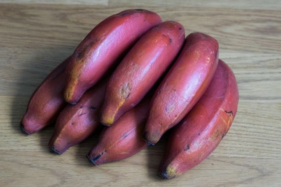 4 Manfaat Pisang Merah, Kolesterol Langsung Ambyar - JPNN.COM