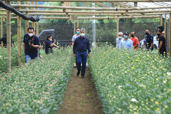 Cerita Petani di Tomohon, Kembangkan Usaha via 'Klaster Usaha Bunga Krisan' - JPNN.COM