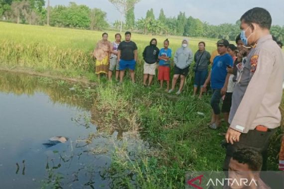 Fakta Terbaru Terkait Kematian Imelda di Areal Persawahan, Soal Alat Kelamin - JPNN.COM