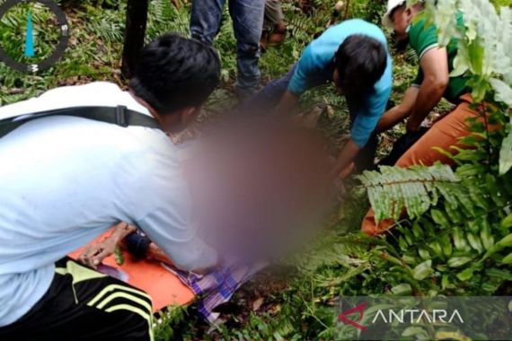 1 Warga Inhil Tewas Diduga Akibat Diterkam Harimau Sumatera, Kondisi Mengenaskan - JPNN.COM