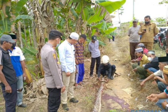 Beginilah Nasib Ular Sepanjang 6 Meter yang Menewaskan Nenek Batari, Lihat - JPNN.COM