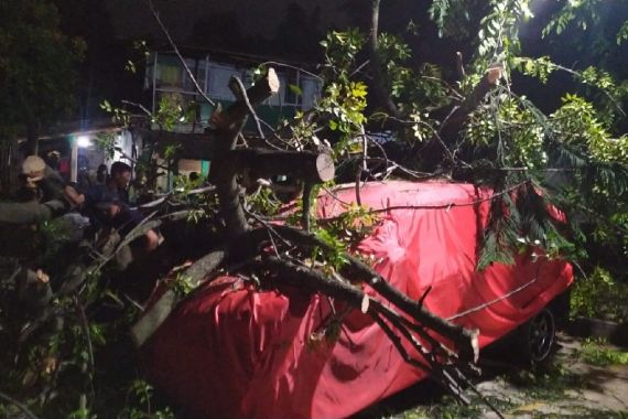 Ibu Eha dan Avanza Tertimpa Pohon Tumbang, Begini Kondisinya - JPNN.COM