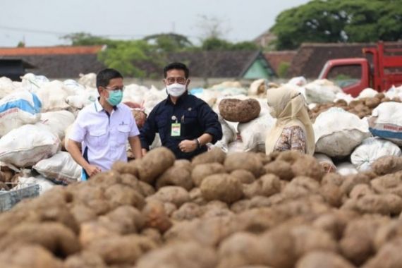 Kementan Manfaatkan Teknologi Radiasi Sinar Gamma untuk Genjot Produksi Porang - JPNN.COM