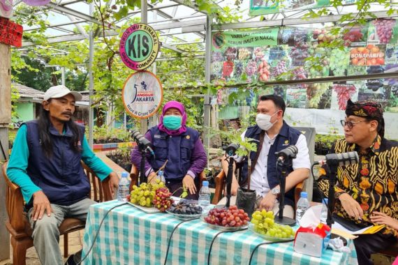 Warga Duren Sawit Jaktim Budi Daya 90 Jenis Tanaman Anggur - JPNN.COM