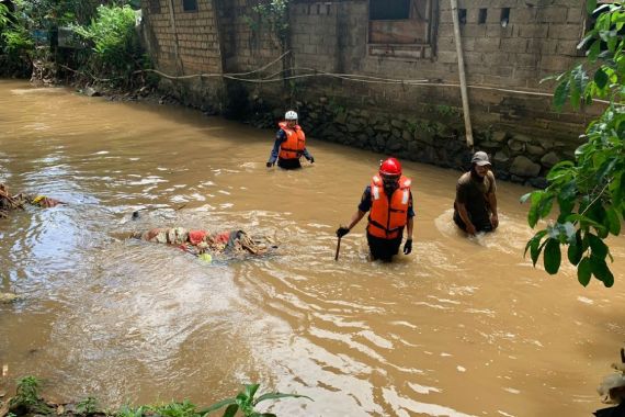 Abdus Somad Panjat Pohon Kelapa, Setelah 30 Menit Dia Hilang Sampai Sekarang - JPNN.COM