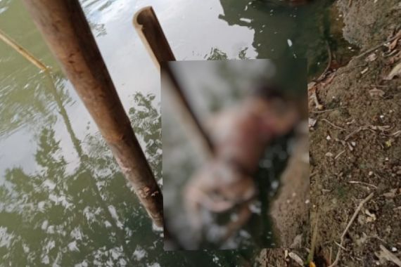 Siswadi Melihat Boneka Mengambang di Sungai, Saat Dicek, Astaghfirullah - JPNN.COM