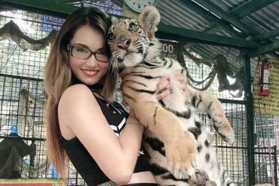 Maria Ozawa Gendong Anak Harimau, Bikin Gemas - JPNN.COM