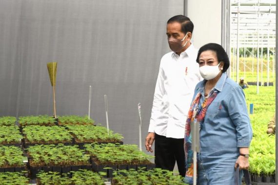 Didampingi Megawati, Jokowi Tinjau Program yang Bisa Menyelesaikan Masalah Tanah Air - JPNN.COM
