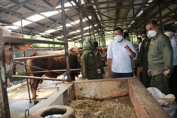 Kementan Sebut Sapi Asal Jatim Siap Penuhi Kebutuhan 2 Wilayah Ini Jelang Ramadan - JPNN.COM