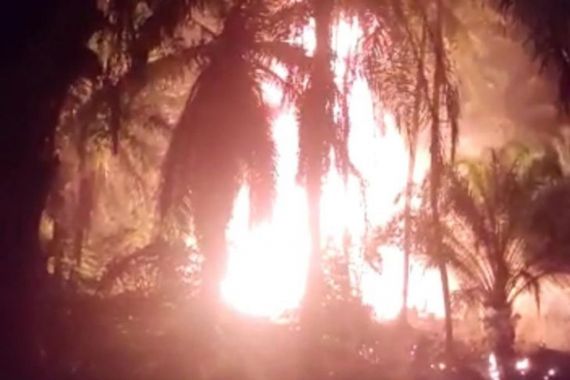 Sumur Minyak Tradisional Meledak, Api Membubung Tinggi, 3 Orang Terbakar, Lihat - JPNN.COM