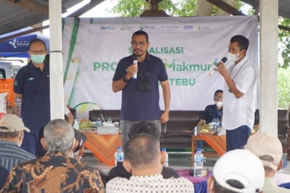 Menteri BUMN Kawinkan Program Makmur Pupuk Indonesia dengan KUR - JPNN.COM