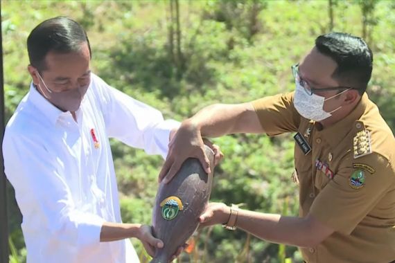 Pak Jokowi Sampai Tertawa, Kendi Air Keramat dari Ridwan Kamil Lama Terkuras di IKN - JPNN.COM