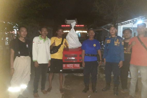 Damkar Bekasi Evakuasi Sarang Tawon Ukuran 1 Meter, Menegangkan - JPNN.COM