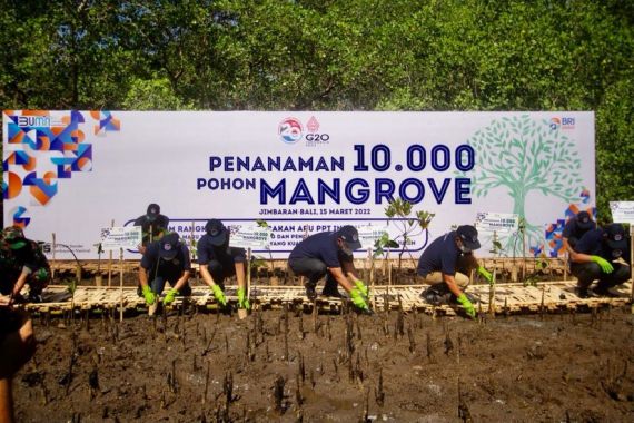BRI dan PPATK Tanam 10 Ribu Pohon Mangrove Pada Peringatan 20 Tahun APU dan PPT - JPNN.COM