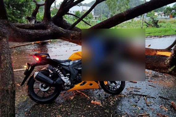 Pengendara Motor Tewas Tertimpa Pohon Tumbang, Kondisinya Sangat Mengenaskan, Lihat - JPNN.COM