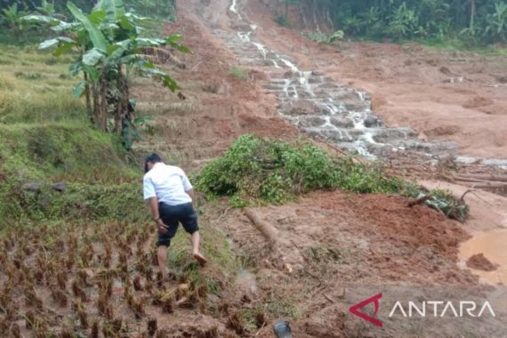 Padi Siap Panen dan Jalan Penghubung Tertutup Longsor - JPNN.COM