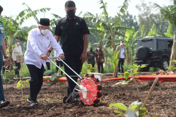 Wapres Ma'ruf Amin Ajak Masyarakat Manfaatkan Bertani Gunakan Konsep Ini - JPNN.COM