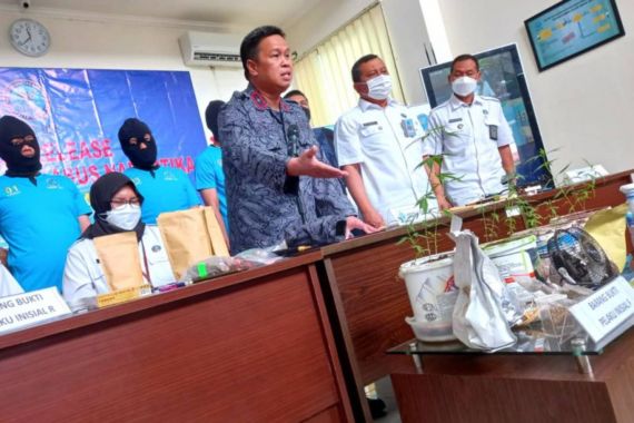 Warga Sleman Tanam Ganja di Pot - JPNN.COM