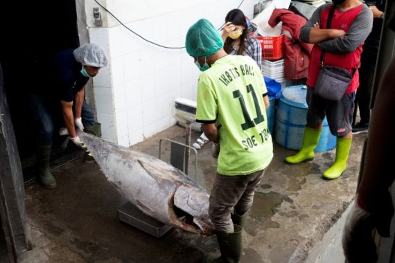 Ekspor Perdana Ikan Tuna ke Vietnam, LPEI Berkolaborasi dengan PT Sarinah - JPNN.COM