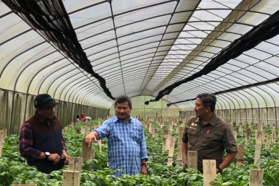 Hasil Hortikultura Garut Siap Pasok Kebutuhan di Ibu Kota Selama Ramadan dan Lebaran - JPNN.COM