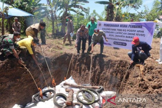 7 Ton Daging Babi dari Jakarta Terinfeksi Virus Berbahaya - JPNN.COM