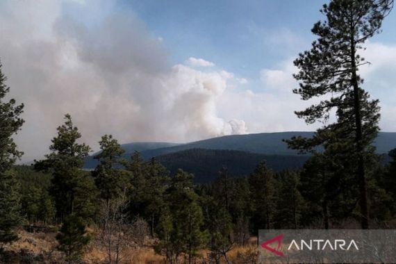 Ini Kebakaran Hutan Terbesar di Amerika, Kota Las Vegas dalam Bahaya - JPNN.COM