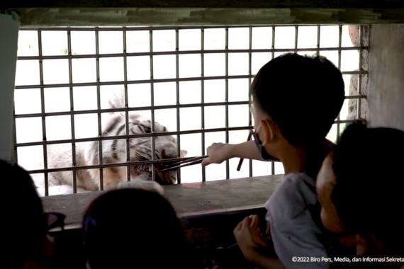 Lihat Gaya Jokowi Bersama Cucu Berwisata, Sempat Mendekati Harimau - JPNN.COM