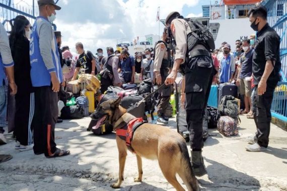 Antisipasi Masuknya Narkoba dan Bahan Peledak, Polisi Terjunkan Anjing Pelacak - JPNN.COM