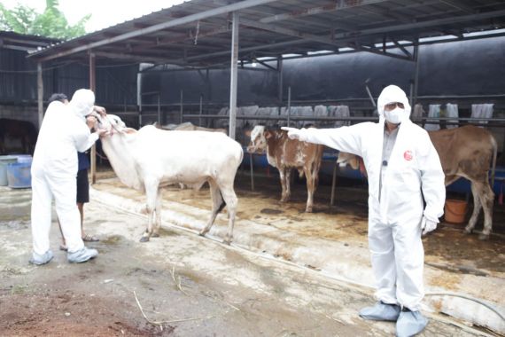 Tinjau Peternakan Sapi di Banten, Mentan SYL Sampaikan Kabar Menggembirakan - JPNN.COM