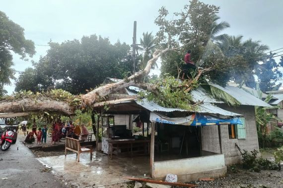 Pohon Besar Tumbang Diterjang Badai, Menimpa Rumah Warga - JPNN.COM